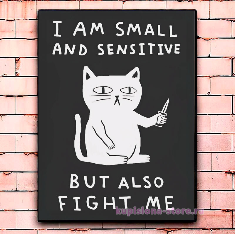 Постер «Also fight me» Постер «Also fight me»