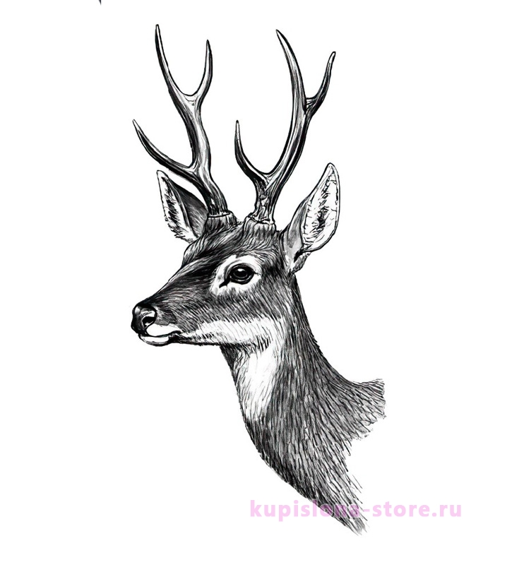 Временная татуировка «Black deer»