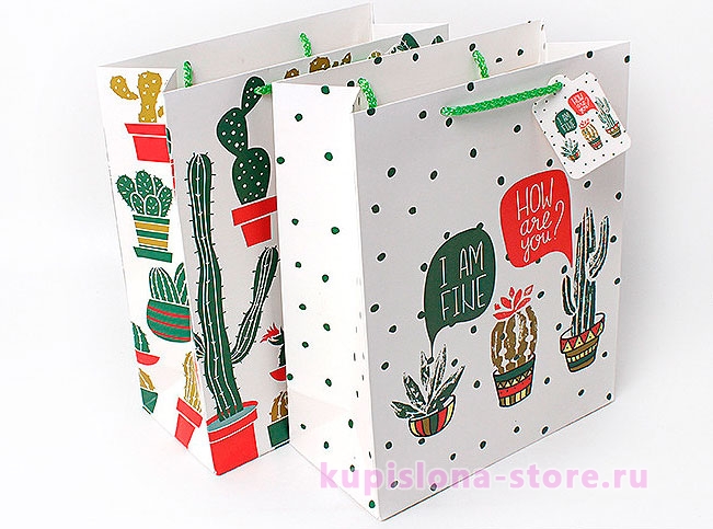 Подарочный пакет «World of cactus» маленький 