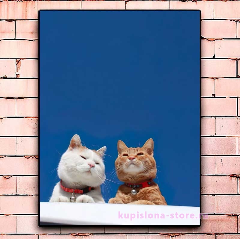 Постер «Cats on the roof» большой