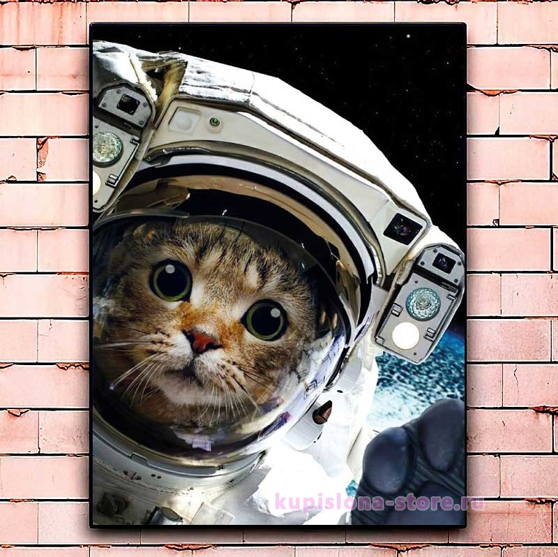 Постер «Cosmonaut cat» большой