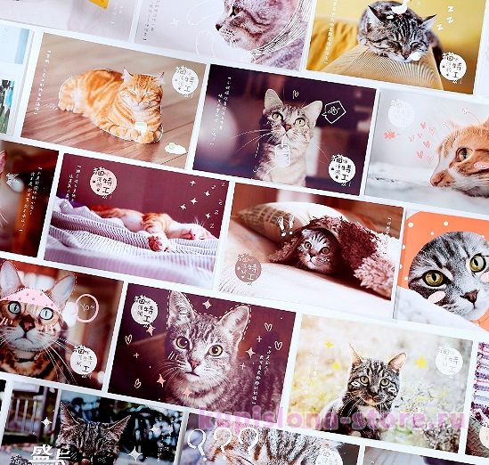 Набор открыток «Cat» Набор открыток «Cat»