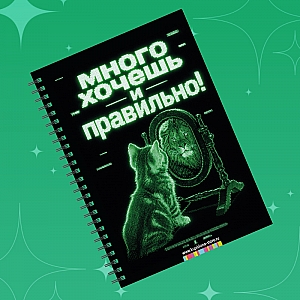 Блокнот «Много хочешь» Блокнот «Много хочешь»