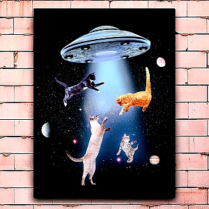 Постер «Everyone needs cats»