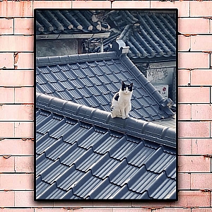 Постер «Кот на крыше» большой