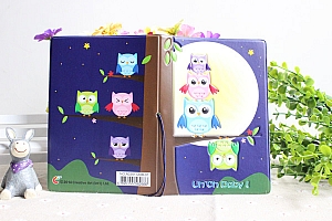 Обложка на паспорт «Owl»