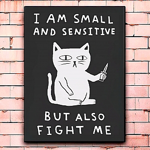 Постер «Also fight me»
