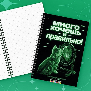 Блокнот «Много хочешь»