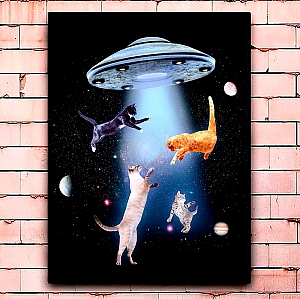 Постер «Everyone needs cats»