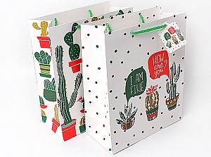 Подарочный пакет «World of cactus» большой