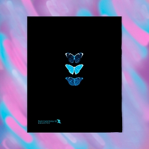 Тетрадь «Butterfly»
