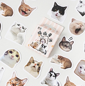 Набор наклеек «Meow's adventures»