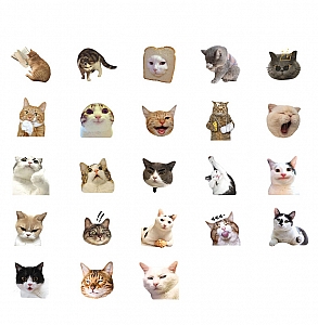 Набор наклеек «Meow's adventures»