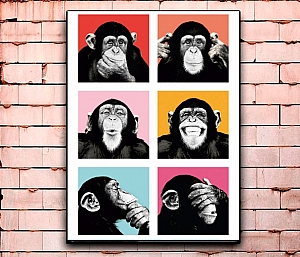 Постер «Animals» большой