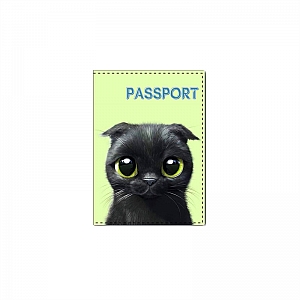 Обложка на паспорт «Котик»