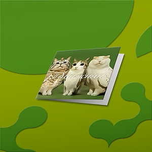 Открытка «#Движняк»