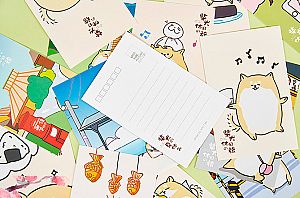 Набор почтовых открыток «Сиба-ину»