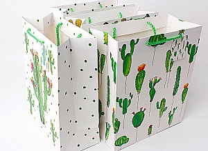 Подарочный пакет «World of cactus» средний